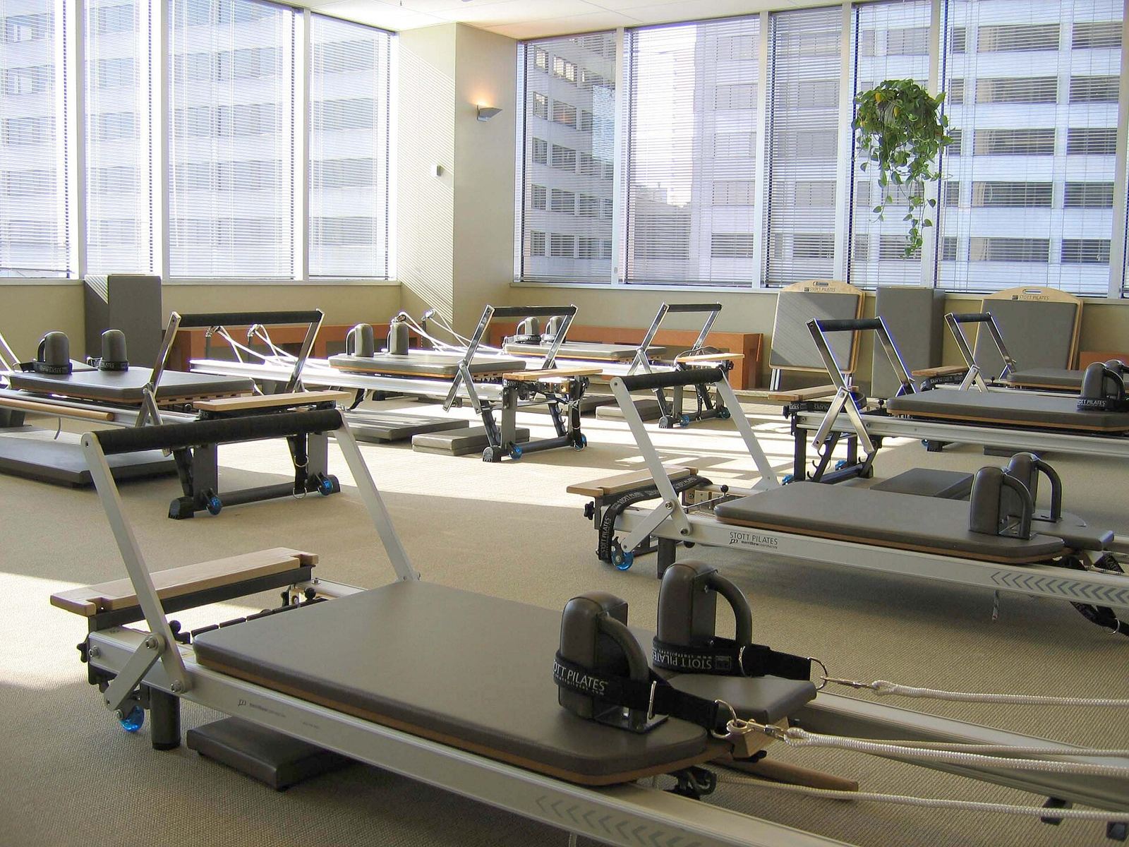 Pilates reformers in a row beside tall windows